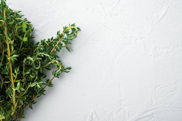 istock Thyme green organic bunch of herbs, on white background, top view with copy space for text 1292854065