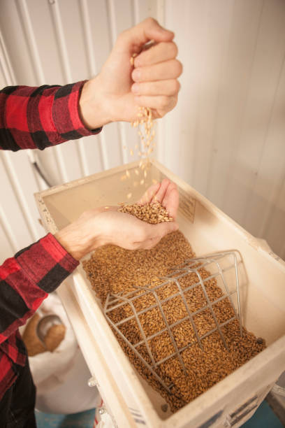 istock Brewer working at craft beer factory 1292859396