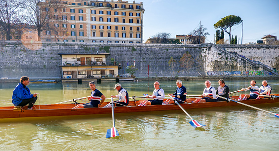 Rome, Italy, December 21 -- A team of senior rowers, made up of middle-aged and senior men, during a training session along the placid waters of the Tiber River in the center of Rome. Image in High Definition format.