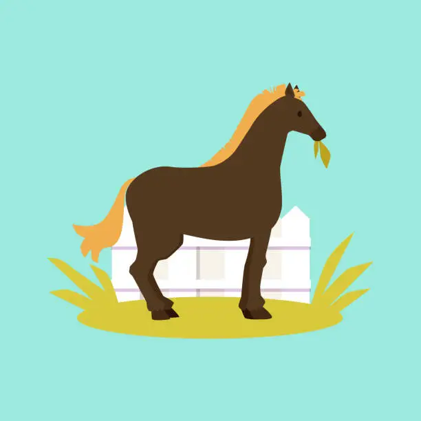 Vector illustration of Cute brown pony eating grass - little mini horse standing from side view