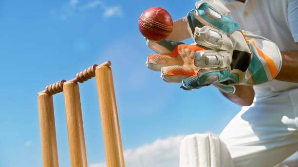 wicketkeeper catching cricket ball - wicket imagens e fotografias de stock
