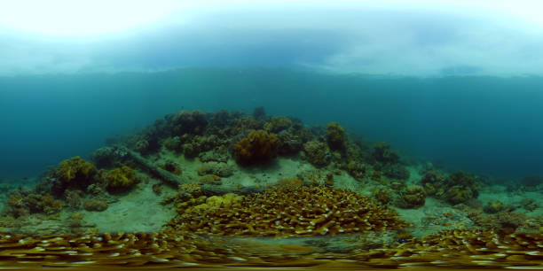 istock Coral reef and tropical fish underwater. Philippines. Virtual Reality 360 1292872539