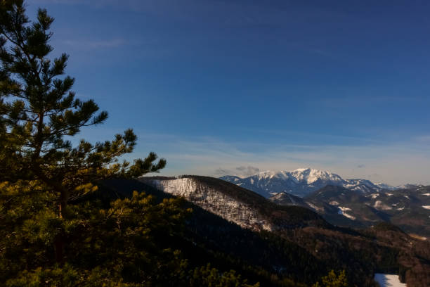 istock pinetree and mountains with snow while hiking in the spring 1292872655