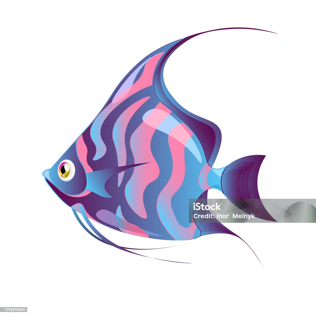 Cute Fish Vector Illustration Ocean Color Fish Underwater Animal
