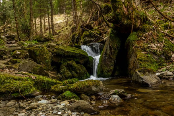 istock little waterfall over green rocks in the forest 1292878980
