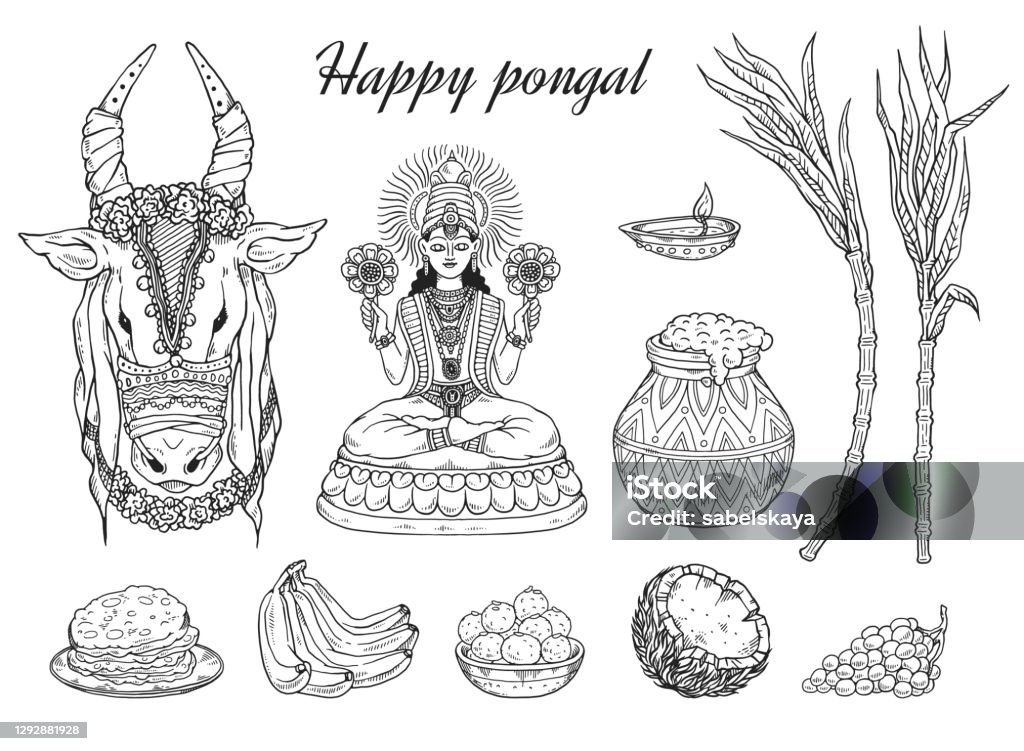 Set Of Vector Sketches For National South Indian Happy Pongal Holiday Stock Illustration - Download Image Now - iStock Set Of Vector Sketches For National South Indian Happy Pongal Holiday Stock Illustration - Download Image Now - iStock