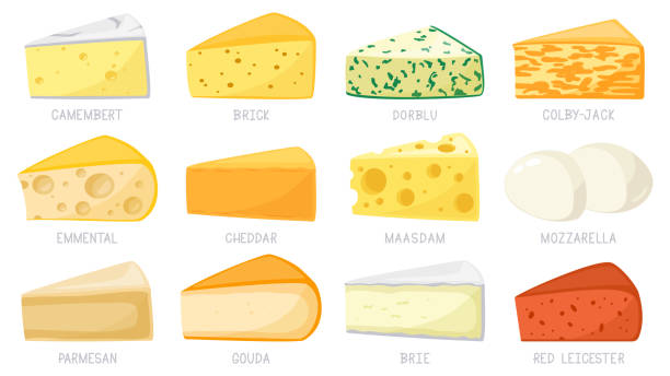 漫画のチーズの種類。チーズ三角形、チェダー、ブリー、モッツァレラチーズ、パルメザンチーズ、カマンベール、レンガ。おいしいチーズベクターイラストセット - brie点のイラスト素材／クリップアート素材／マンガ素材／アイコン素材