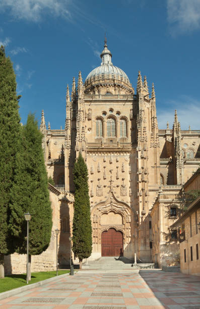 istock Patio Chico between Old and New Cathedrals in Salamanca, Spain 1292901569