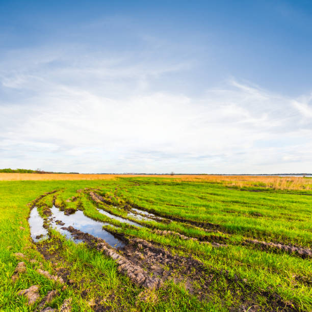 istock green fields, dirty road and pond 1292902717