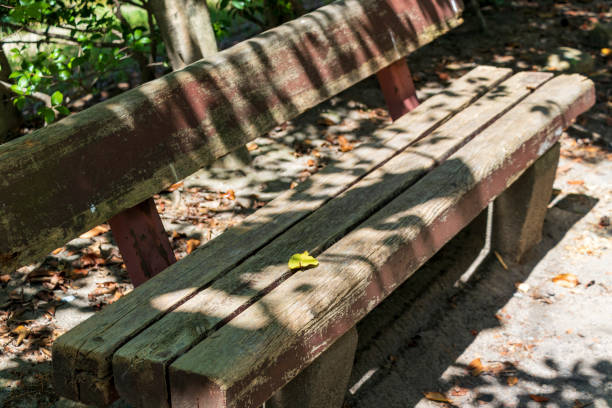 istock Wooden bench in the sunlight 1292902815