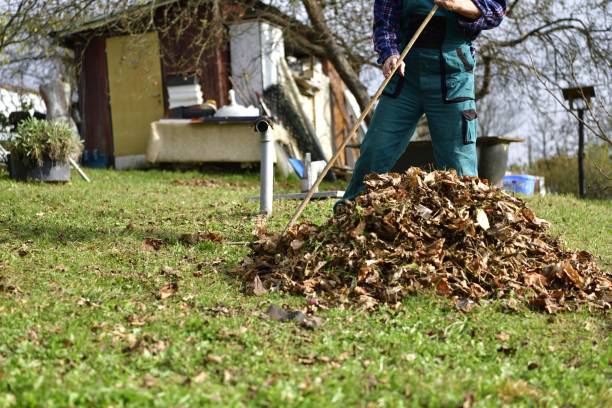 istock Autumn garden work and leaf cleaning before winter 1292910365