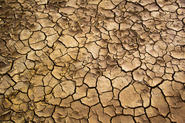 istock Dry Clay Ground Soil Background and Texture 1292910490