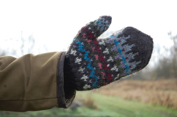 istock A homemade mitten from wool against the overcasted sky. 1292911693