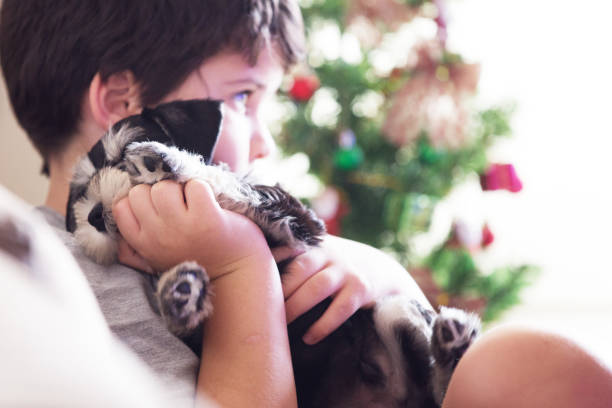 istock Dog and boy xmas 1292913626