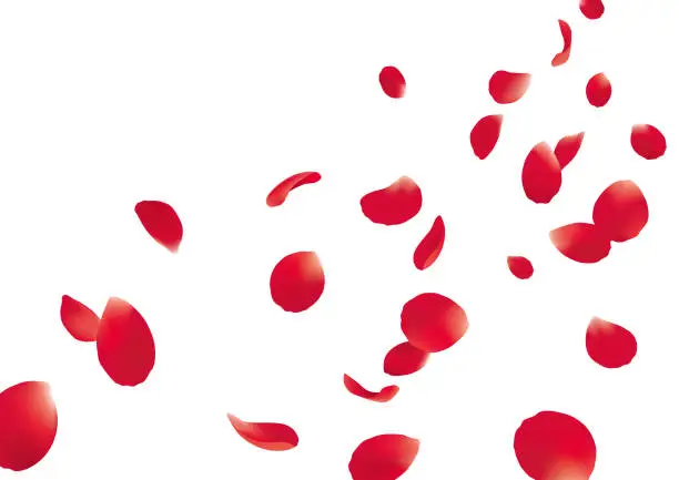 Vector illustration of Fluttering red rose petals