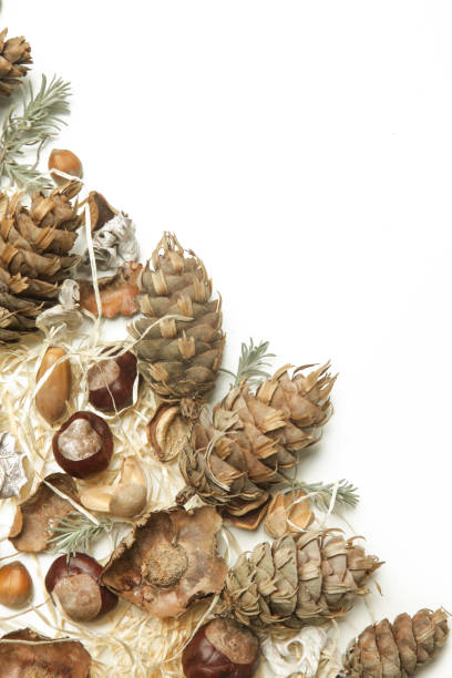 istock Autumn background with leaves, chestnuts, acorns, pine cone on white with copy space. 1292921343