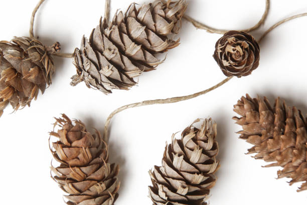 istock Simple and natural pinecone garland on white. Budget-friendly DIY fall decorating ideas. 1292921460