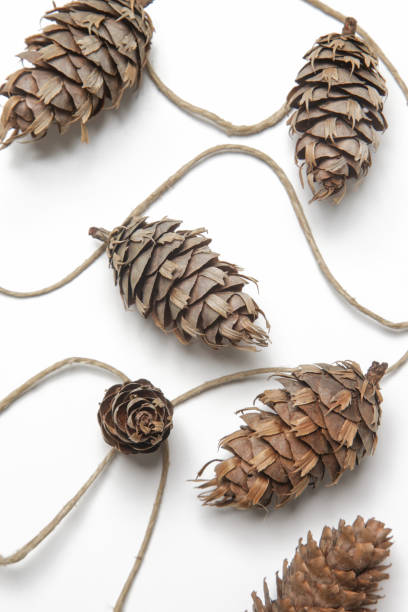 istock Simple and natural pinecone garland on white. Budget-friendly DIY fall decorating ideas. 1292921510