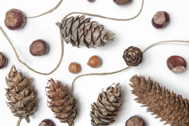 istock Simple and natural pinecone garland on white. Budget-friendly DIY fall decorating ideas. 1292921580