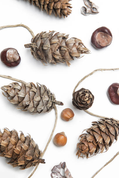 istock Simple and natural pinecone garland on white. Budget-friendly DIY fall decorating ideas. 1292921592