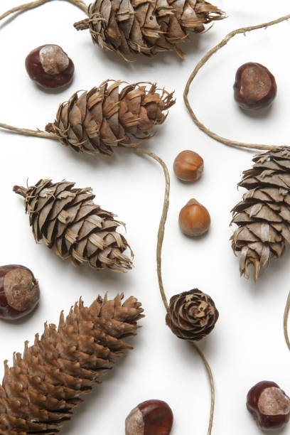 istock Simple and natural pinecone garland on white. Budget-friendly DIY fall decorating ideas. 1292921597