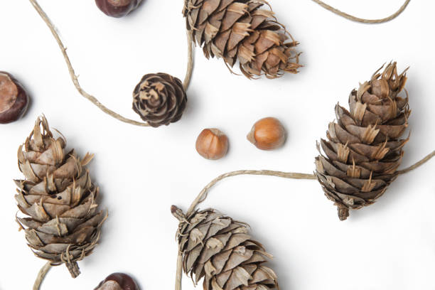 istock Simple and natural pinecone garland on white. Budget-friendly DIY fall decorating ideas. 1292921717