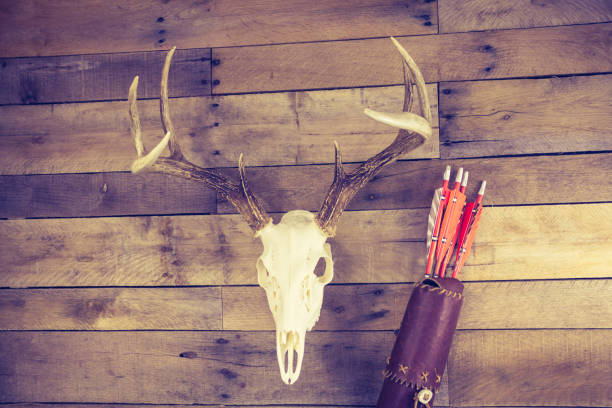 istock Traditional Archery Deer Hunting Concept 1292923468