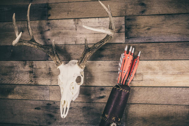 istock Traditional Archery Deer Hunting Concept 1292923717
