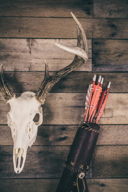 istock Traditional Archery Deer Hunting Concept 1292923867