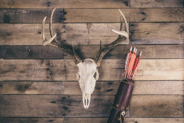 istock Traditional Archery Deer Hunting Concept 1292924397