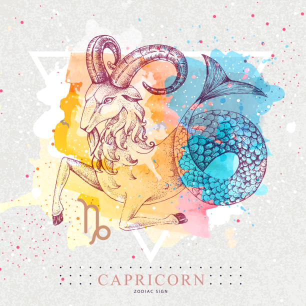 ilustrações de stock, clip art, desenhos animados e ícones de modern magic witchcraft card with astrology capricorn zodiac sign on artistic watercolor background. realistic hand drawing ram or mouflon with fish tail. - wildlife sheep animal body part animal head