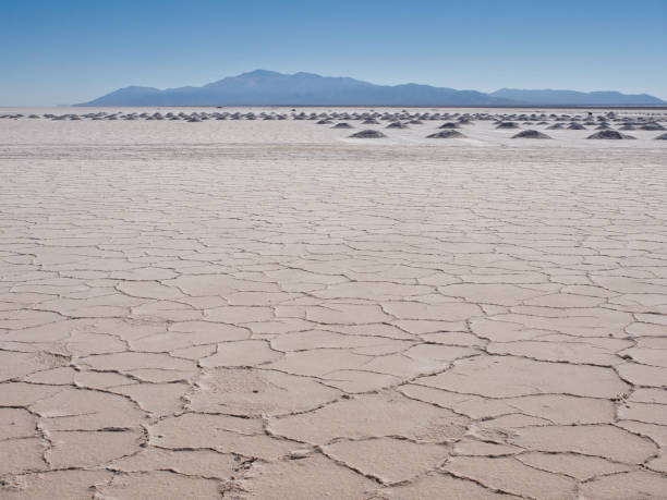 istock Salt extraction on the immense salt flat Salinas Grandes 1292927184