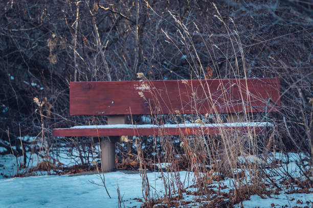 istock A Snowy Park Bench in the evening light 1292927434