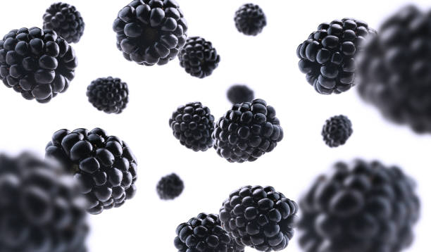 istock Ripe blackberries levitate on a white background 1292928703