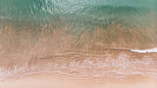 istock The top view of a beautiful beach. 1292930194