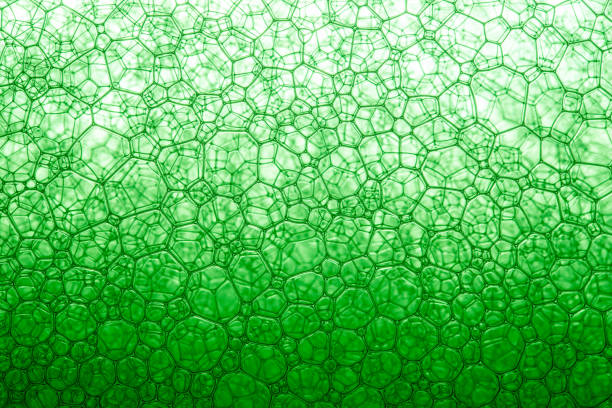 istock Macro close up of soap bubbles,Foam Bubble from Soap or Shampoo Washing 1292933146