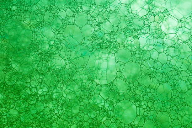 istock Macro close up of soap bubbles,Foam Bubble from Soap or Shampoo Washing 1292933251