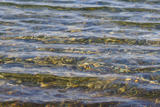 istock Clear coastal sea water on a sunny day 1292935257