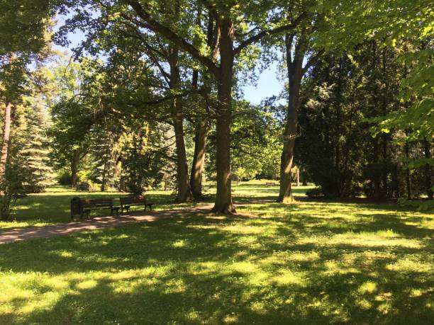 Garden in Wroclow