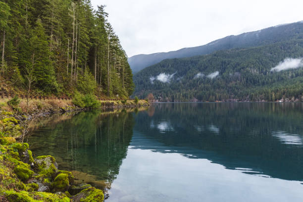 istock Clam waters in overcast at Lake Crescent, Washington 1292938545