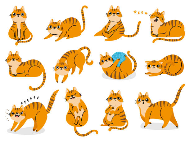 kucing berpose. kartun kucing bergaris lemak merah emosi dan perilaku. hewan peliharaan kucing ceria, tidur dan takut. set vektor bahasa tubuh cat - kucing ilustrasi stok