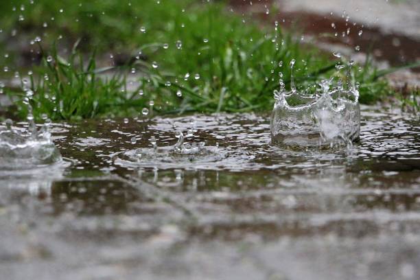 pioggia sta cadendo in una pozzanghera in giardino - pioggia foto e immagini stock