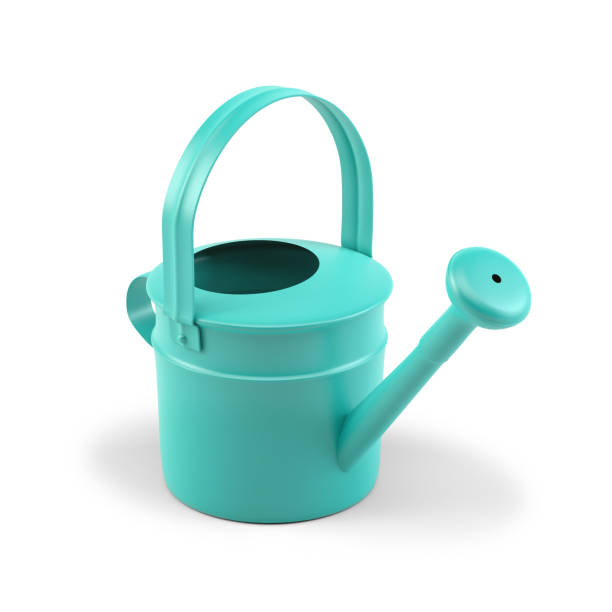 istock Green watering can garden on white background. 3D Rendering 1292945879