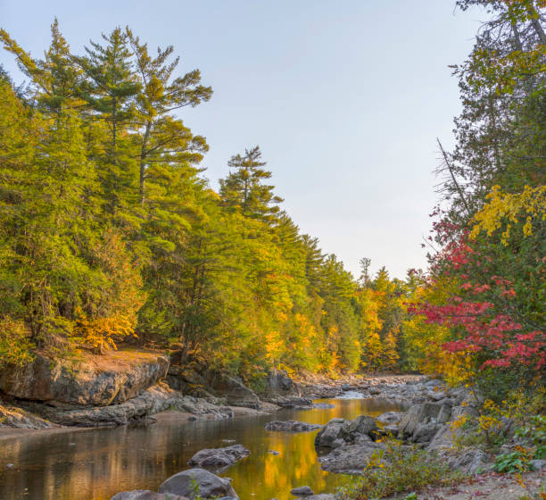istock Upstate New York Adirondacks Fall Foliage river view 1292946396
