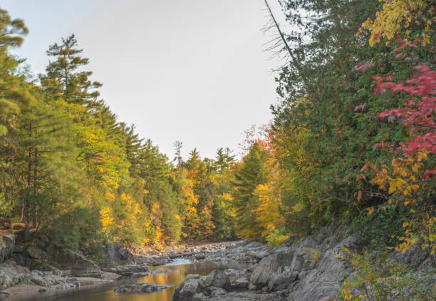 istock Upstate New York Adirondacks Fall Foliage 1292946456