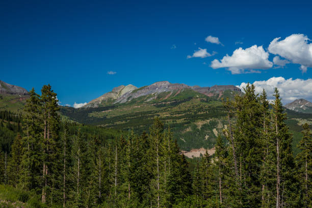 istock Mountain landscape with evergreen trees 1292949779