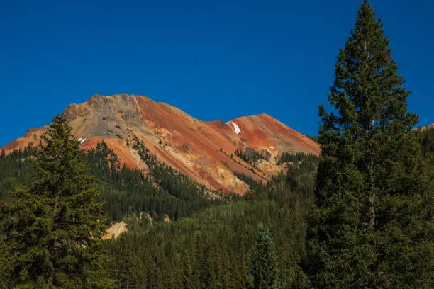 Photo of Red mountain with pine trees