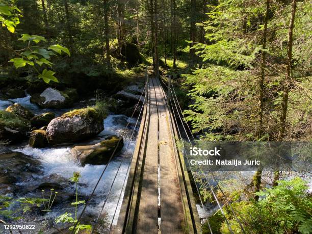 Small Pedestrian Bridges Over The Giessbach Stream And Between The Waterfalls Giessbach Falls Stock Photo - Download Image Now