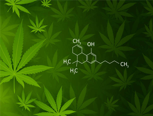Marijuana leaf and THC formula Marijuana leaf and THC formula cannabinoid stock illustrations