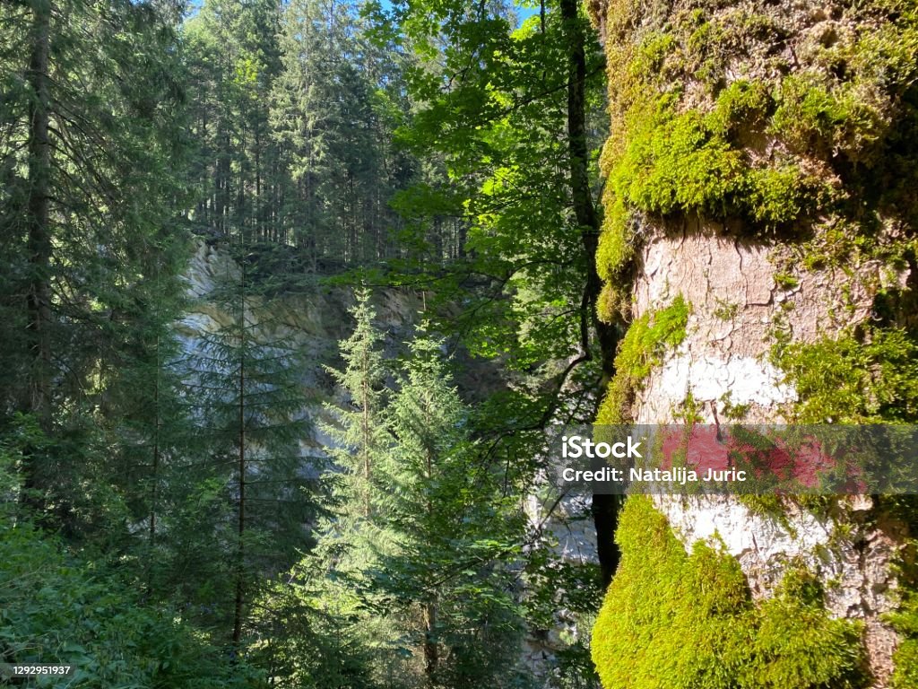 Mountaineering signposts and markings along the waterfalls Giessbach Falls (Giessbachfälle oder Giessbachfaelle) and in the creek valley, Brienz - Canton of Bern, Switzerland (Kanton Bern, Schweiz) Hiking Stock Photo